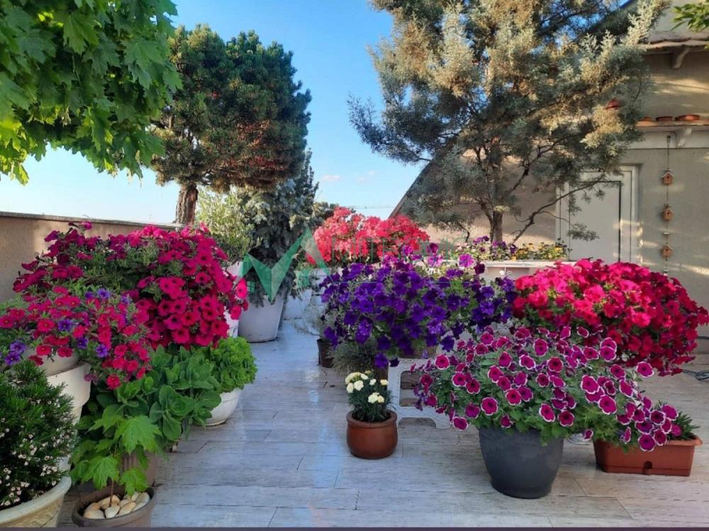 Slika 2 - Petosoban stan na prodaju, 239m2, 850.000€