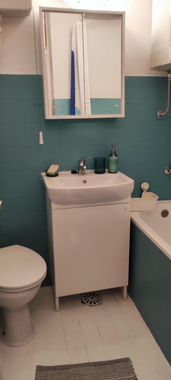 Slika 11 - Bulevar Arsenija Čarnojevića, Trosoban stan za izdavanje, 70m2, 800€