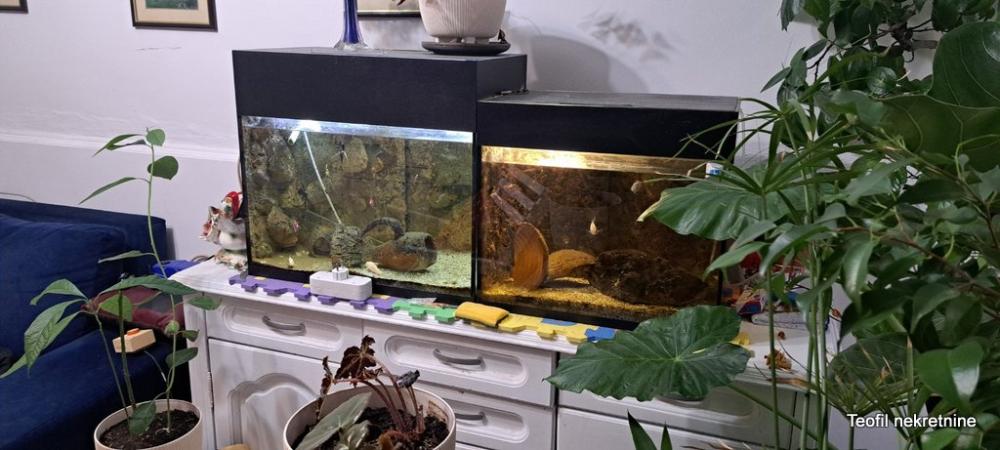 Slika 4 - Toplice Milana, Trosoban stan na prodaju, 60m2, 125.000€