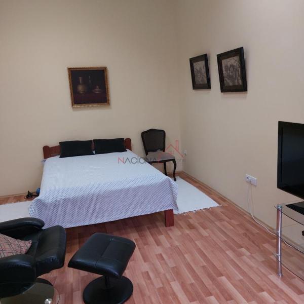 Slika 3 - DUNAVSKA, Jednoiposoban stan za izdavanje, 46m2, 300€