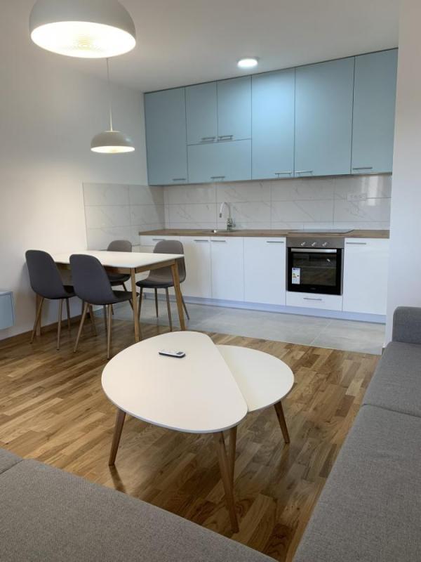 Glavna slika -Jednoiposoban stan za izdavanje, 46m2, 450€