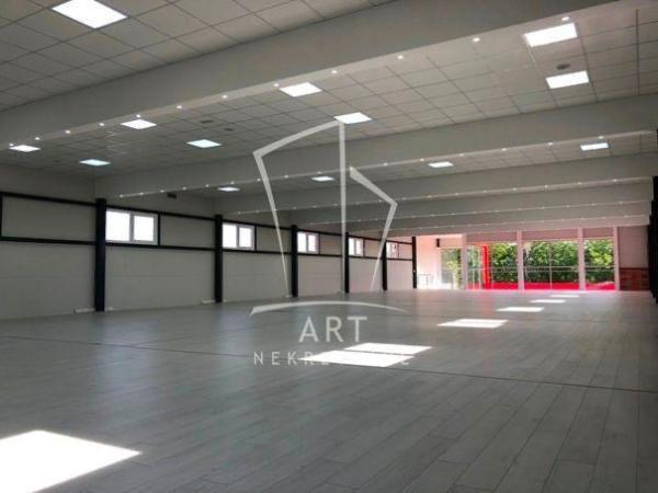 Glavna slika oglasa 381875