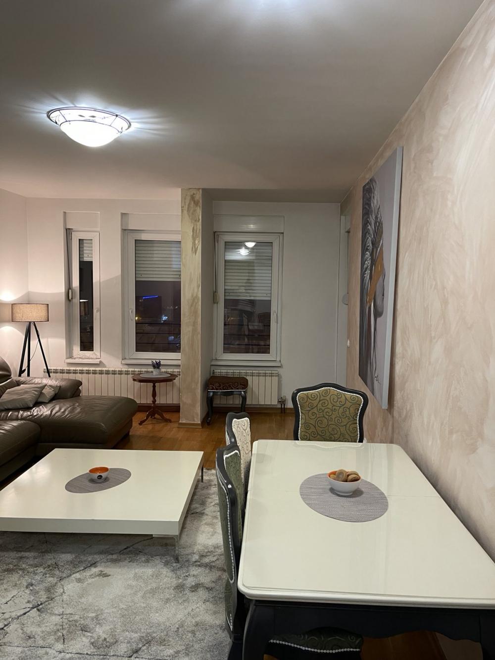 Slika 2 - Vojvode Stepe, Dvosoban stan za izdavanje, 50m2, 650€