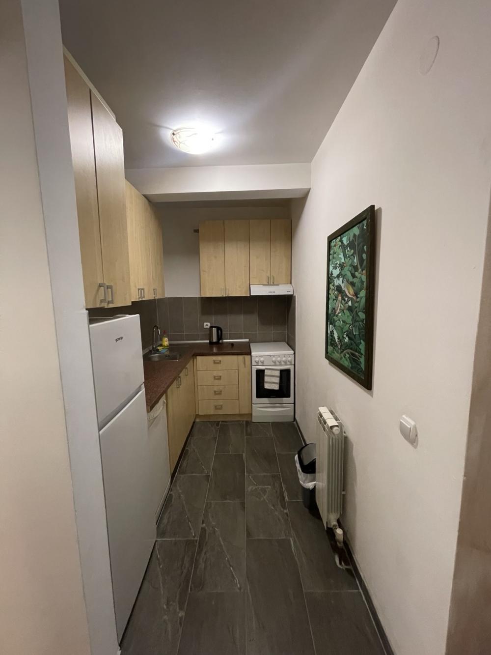 Slika 6 - Vojvode Stepe, Dvosoban stan za izdavanje, 50m2, 650€