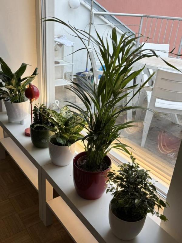 Slika 11 - Dvosoban stan za izdavanje, 54m2, 530€