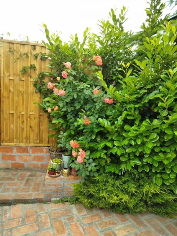 Slika 11 - Kuća za izdavanje, 140m2, 2.000€