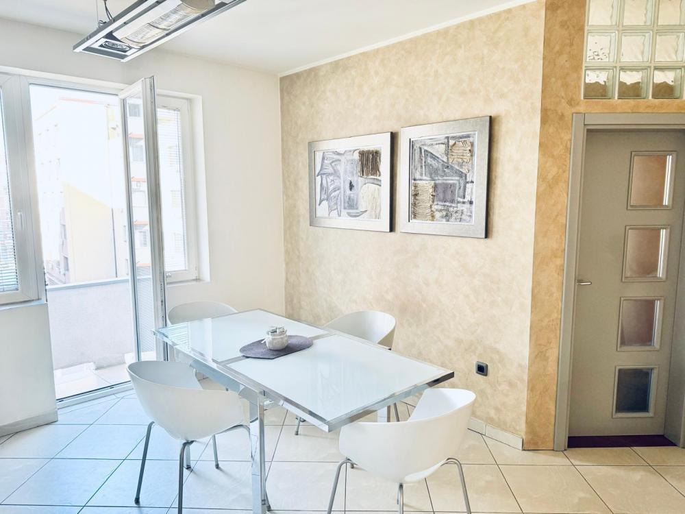 Slika 10 - Bulevar Despota Stefana, Dvosoban stan za izdavanje, 60m2, 650€