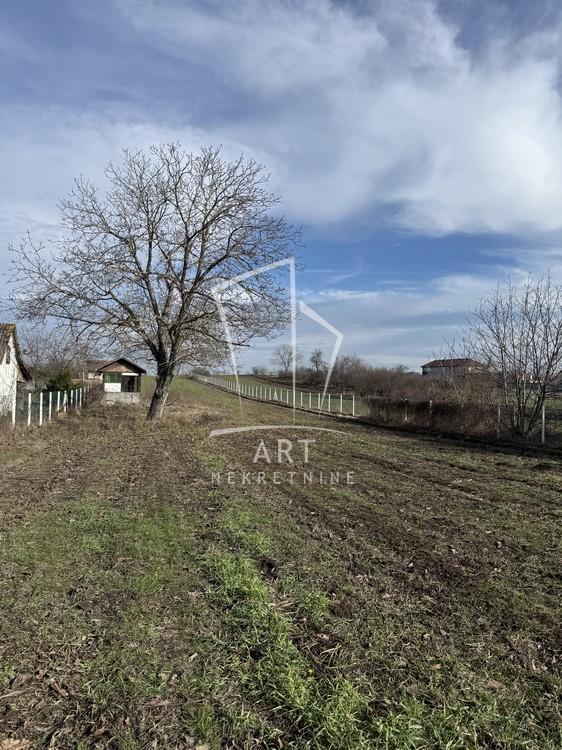 Slika 3 - Batajnički vinogradi Plac na prodaju, Zemun, Batajnica, 250.000€