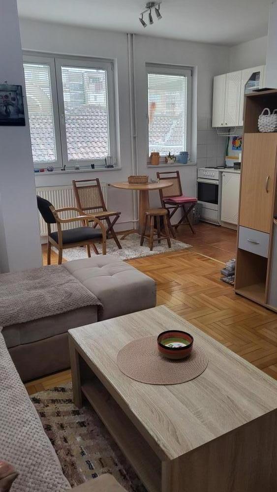 Slika 4 - Kej Kolo srpskih sestara 35, Stan za izdavanje, 38m2, 220€