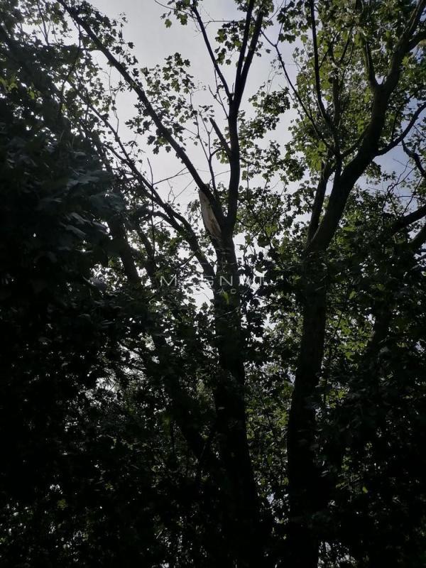 Glavna slika - Plac na prodaju, Čukarica, Makiš, 182.000€