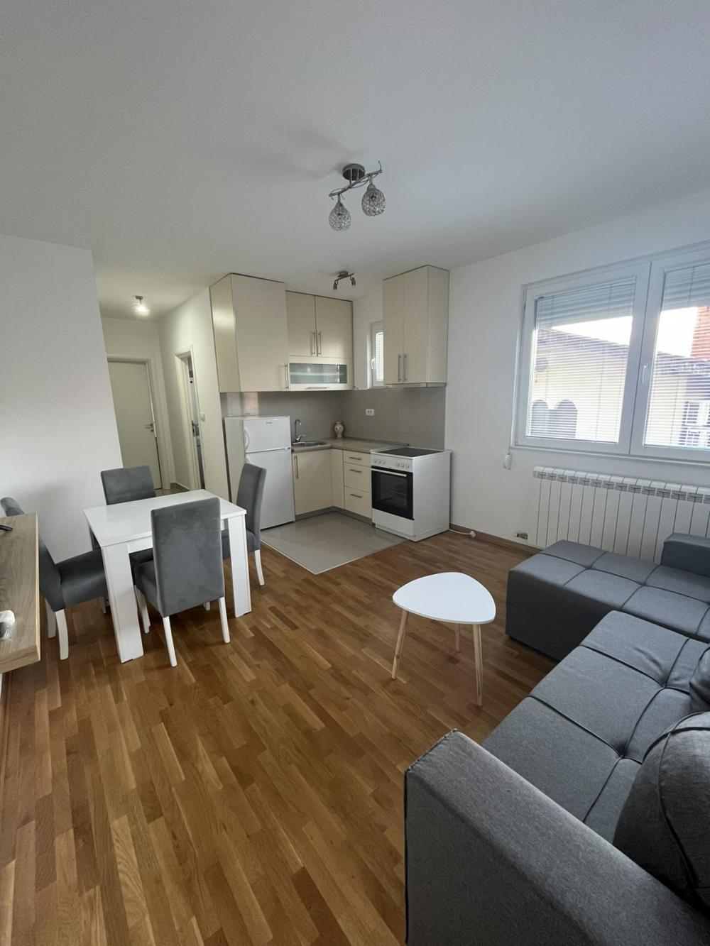 Slika 1 - Kosare Cvetković, Jednoiposoban stan za izdavanje, 31m2, 500€