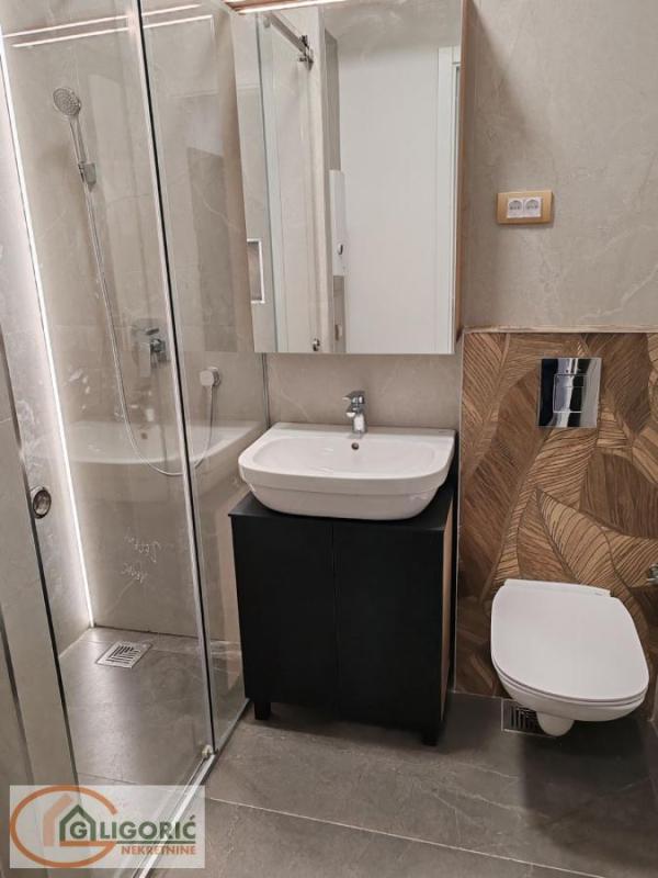 Slika 8 - Zeleni venac, Jednoiposoban stan za izdavanje, 36m2, 750€