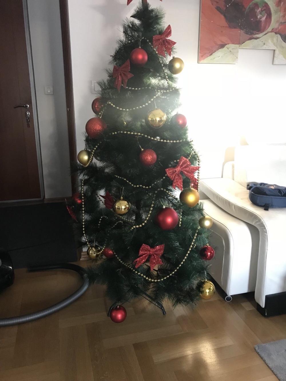 Slika 6 - Dimitrija Tucovica 28, Dvosoban stan za izdavanje, 49m2, 800€