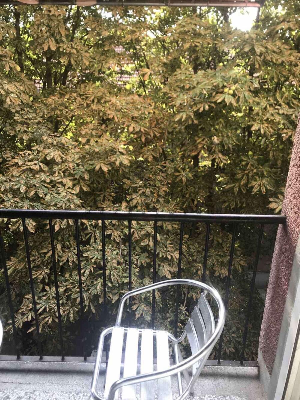 Slika 11 - Generala Milojka Lešjanina, Troiposoban stan za izdavanje, 60m2, 400€