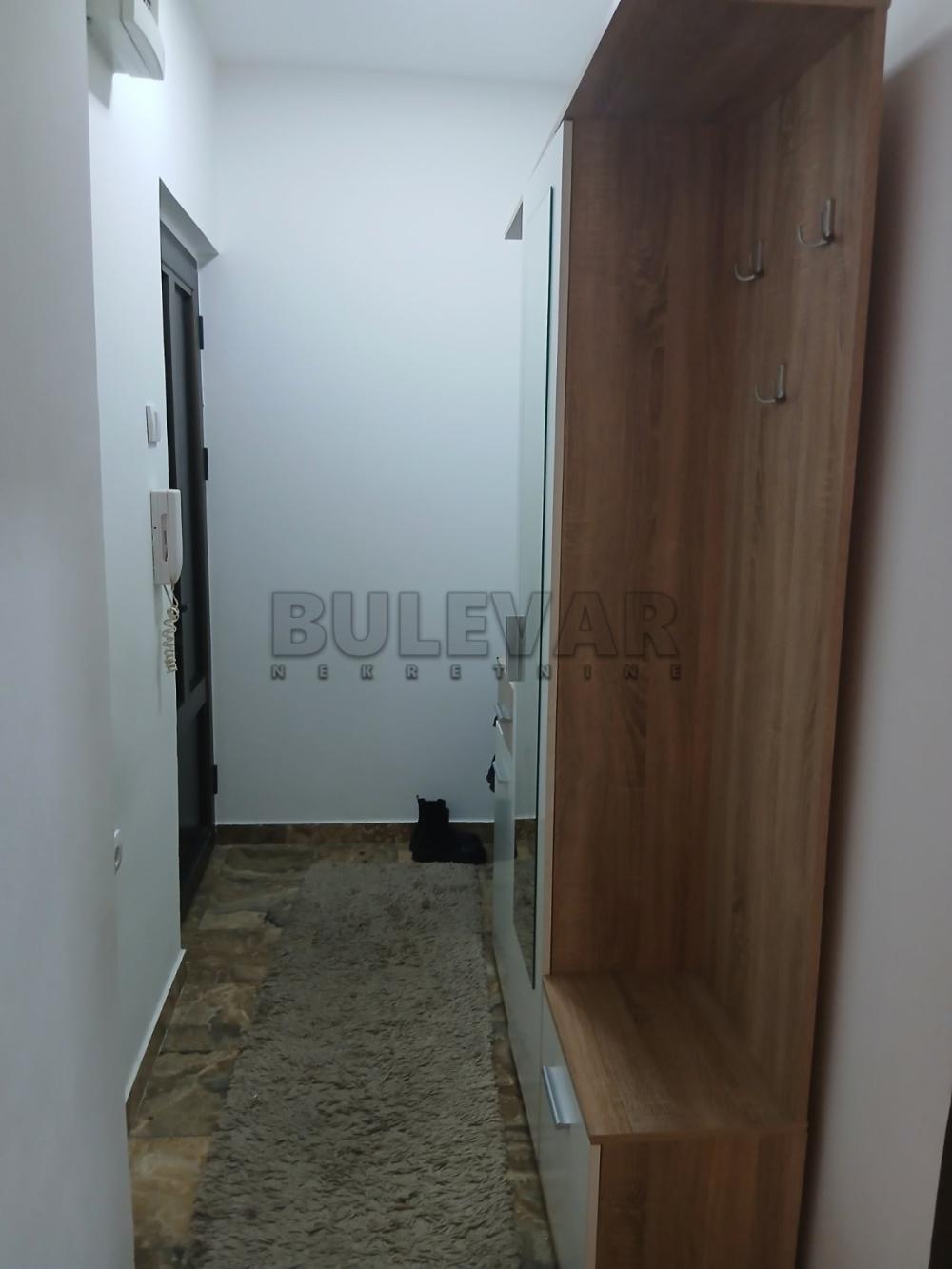 Slika 9 - Generala Milojka Lešjanina, Jednoiposoban stan za izdavanje, 50m2, 350€