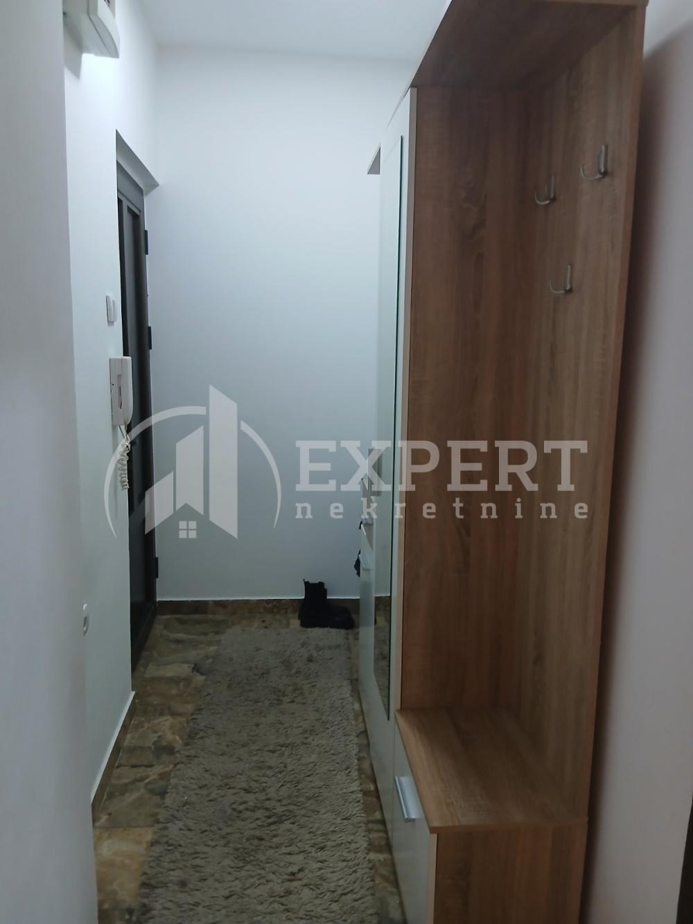 Slika 9 - Generala Milojka Lešjanina, Jednoiposoban stan za izdavanje, 50m2, 350€