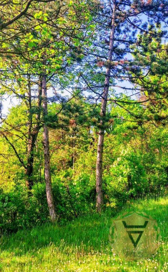 Slika 6 -  Kuća za izdavanje, 97m2, 400€