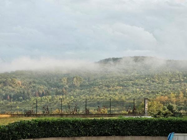 Slika 1 - Vase Čarapića,  Kuća na prodaju, 426m2, 850.000€