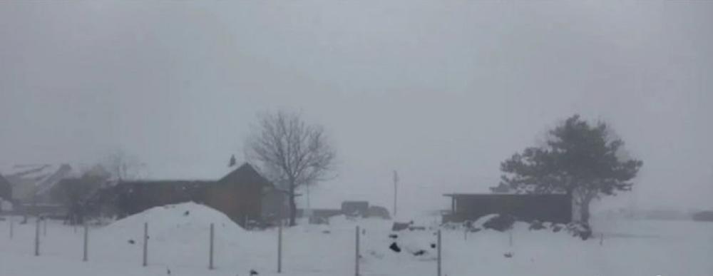 Slika 3 -  Građevinsko zemljište na prodaju, Borca, 65.000€