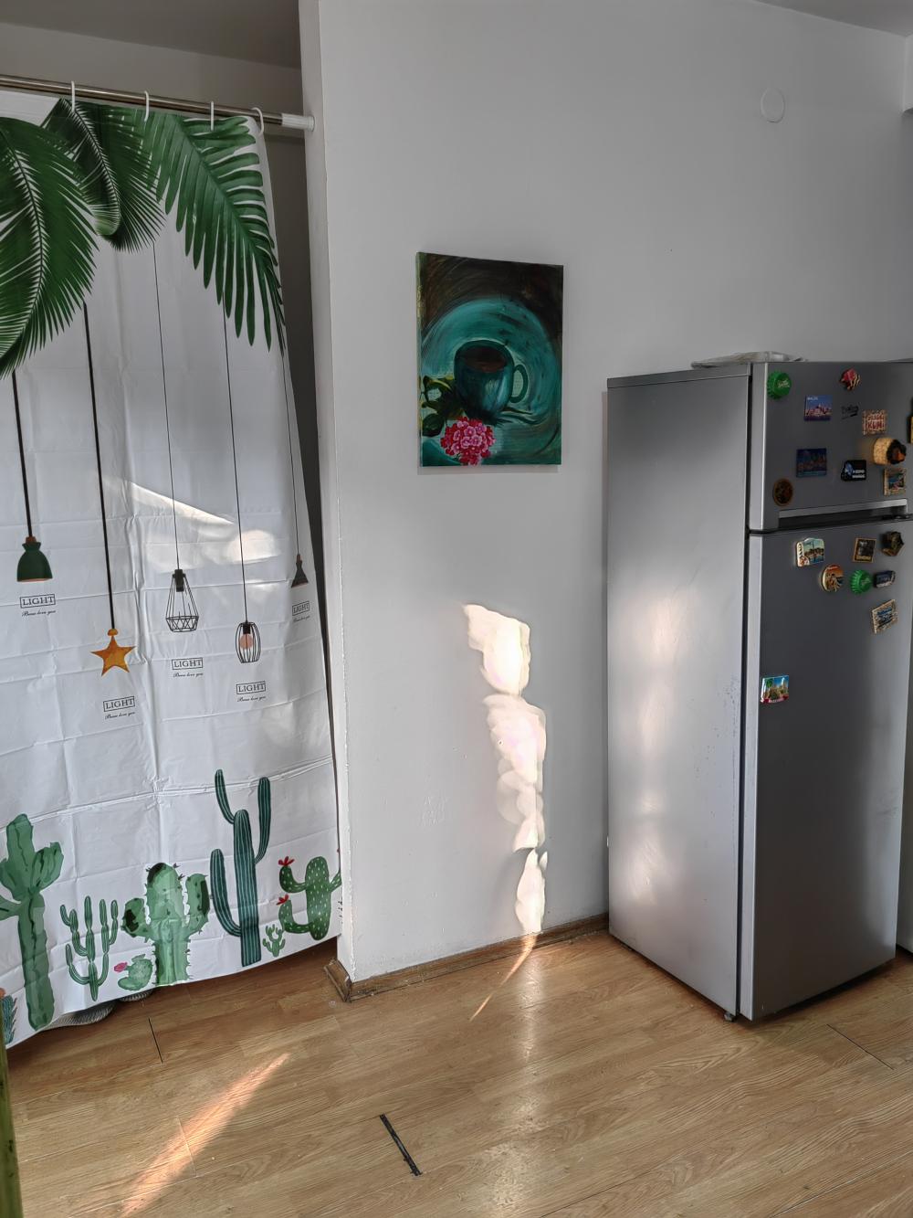 Slika 4 - Cedomilja Mitrovica, Petosoban stan za izdavanje