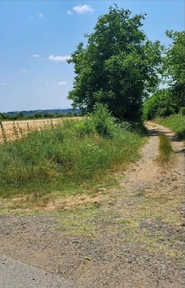 Slika 2 - Veliki Borak Poljoprivredno zemljište na prodaju, Barajevo, 39.600€