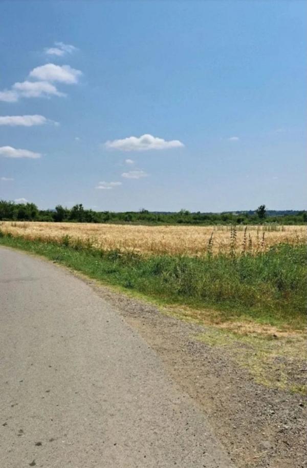 Slika 4 - Veliki Borak Poljoprivredno zemljište na prodaju, Barajevo, 39.600€