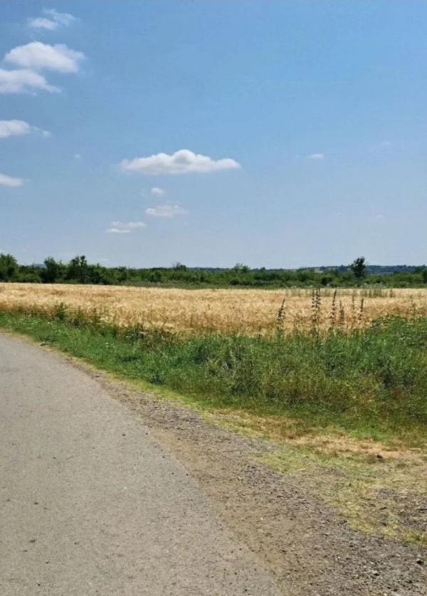 Glavna slika -Veliki Borak Poljoprivredno zemljište na prodaju, Barajevo, 39.600€