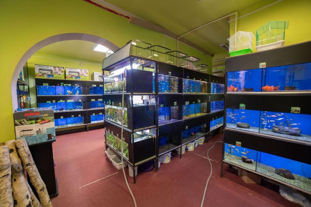 Slika 11 -  Lokal na prodaju, 192m2, 366.650€