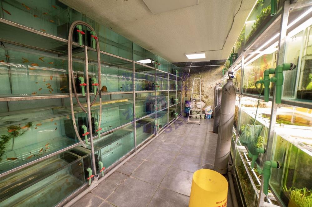 Slika 8 -  Lokal na prodaju, 192m2, 366.650€