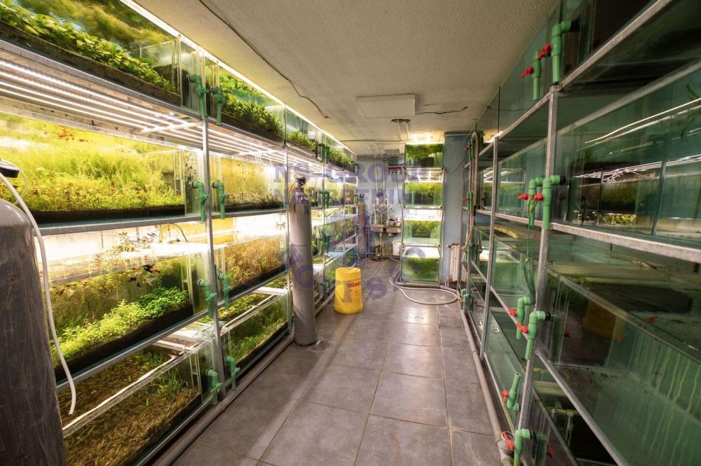 Slika 7 -  Lokal na prodaju, 192m2, 366.650€