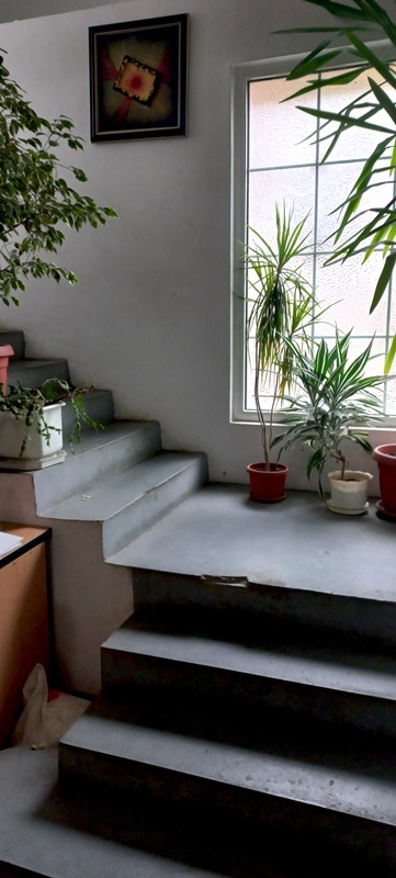 Slika 9 - Radomira Markovica,  Kuća na prodaju, 770m2, 700.000€