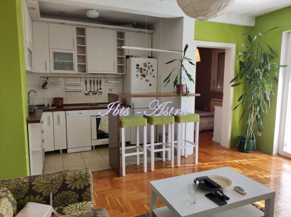 Glavna slika -Danice Marković, Dvosoban stan za izdavanje, 47m2, 500€