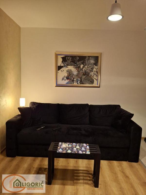 Slika 2 - Bulevar Mihajla Pupina, Jednosoban stan za izdavanje, 31m2, 700€