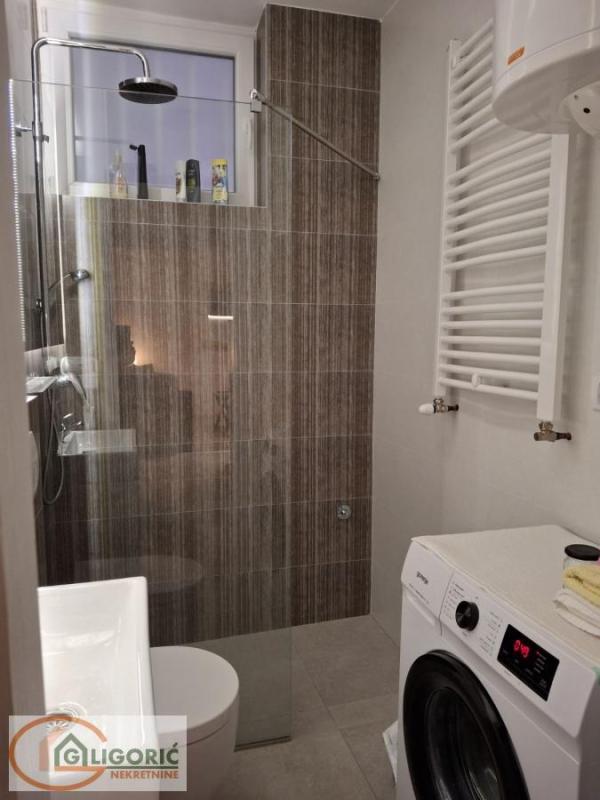 Slika 5 - Bulevar Mihajla Pupina, Jednosoban stan za izdavanje, 31m2, 700€