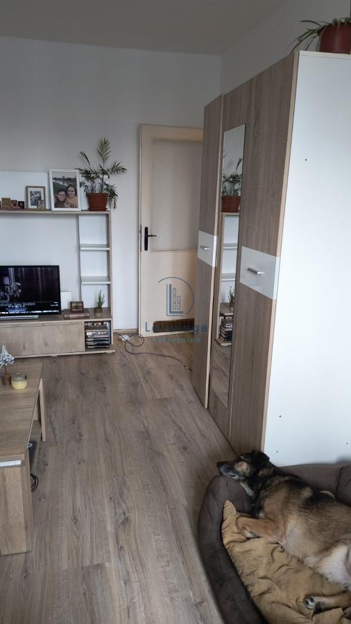 Glavna slika -Bulevar Mihajla Pupina, Jednosoban stan za izdavanje, 38m2, 350€