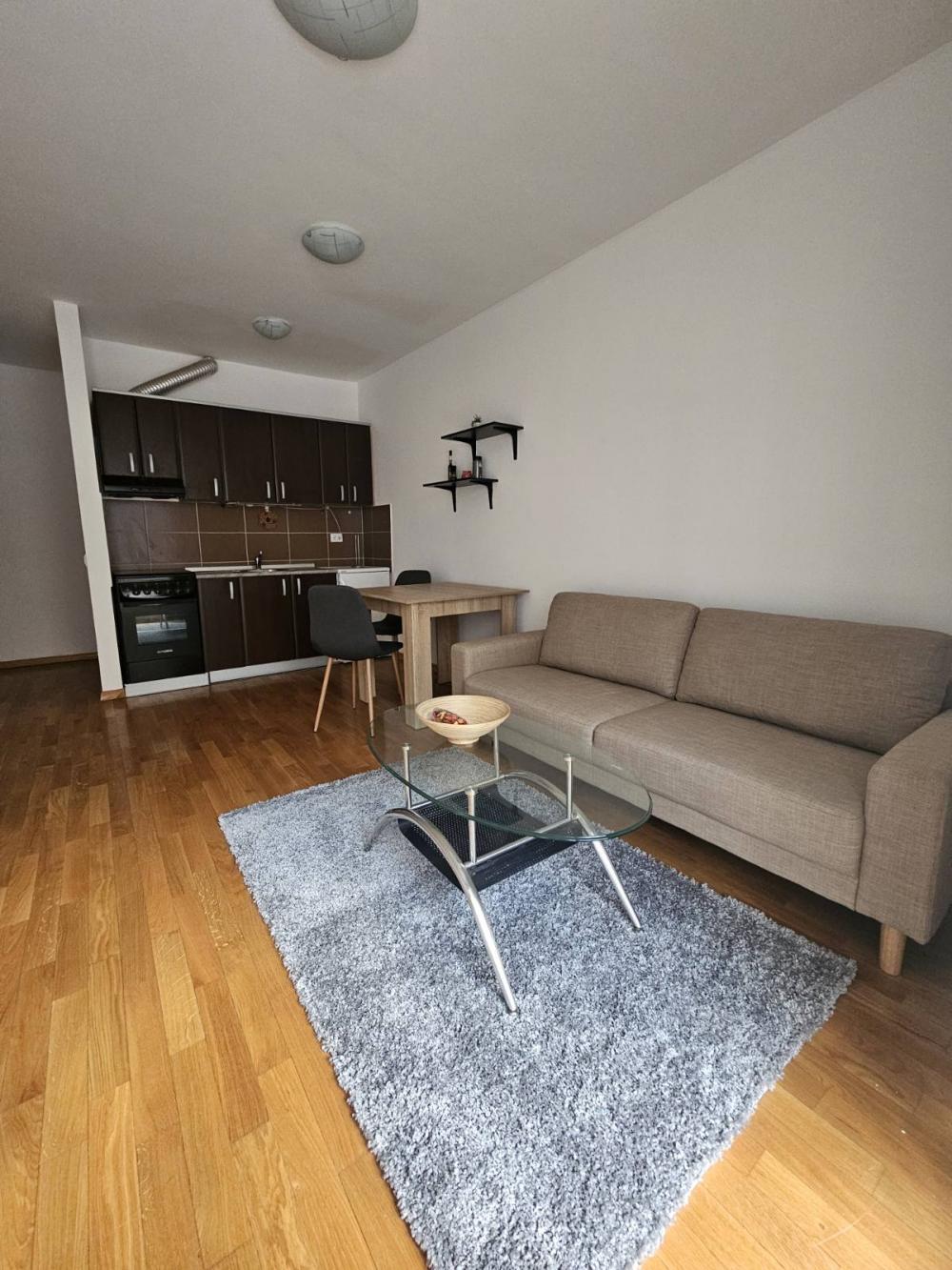 Slika 2 - Gundulićev Venac, Dvosoban stan za izdavanje, 45m2, 650€