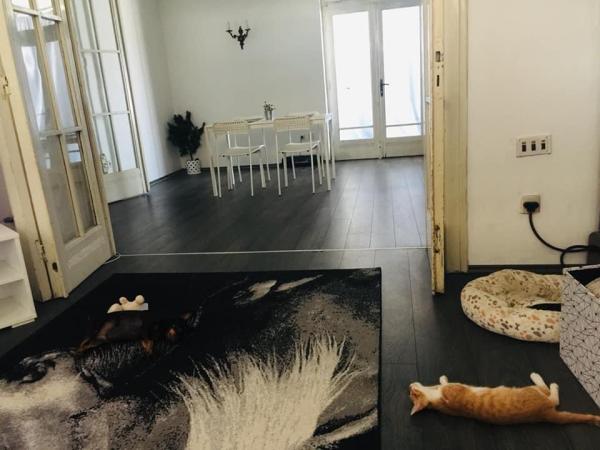 Slika 2 - Lomina, Četvorosoban stan za izdavanje, 120m2, 900€