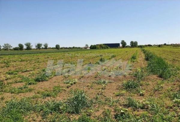 Slika 8 -  Građevinsko zemljište na prodaju, Dobanovci, 400.000€