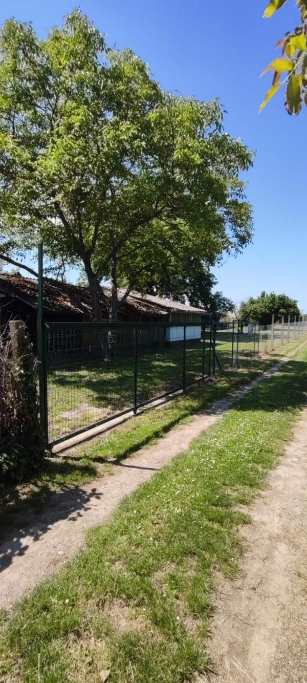 Slika 6 -  Plac na prodaju, Veternik, 42.000€