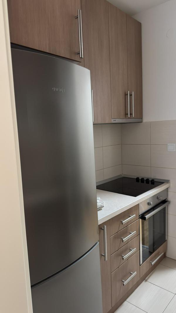 Slika 5 - Jurija Gagarina, Dvosoban stan za izdavanje, 69m2, 1.100€