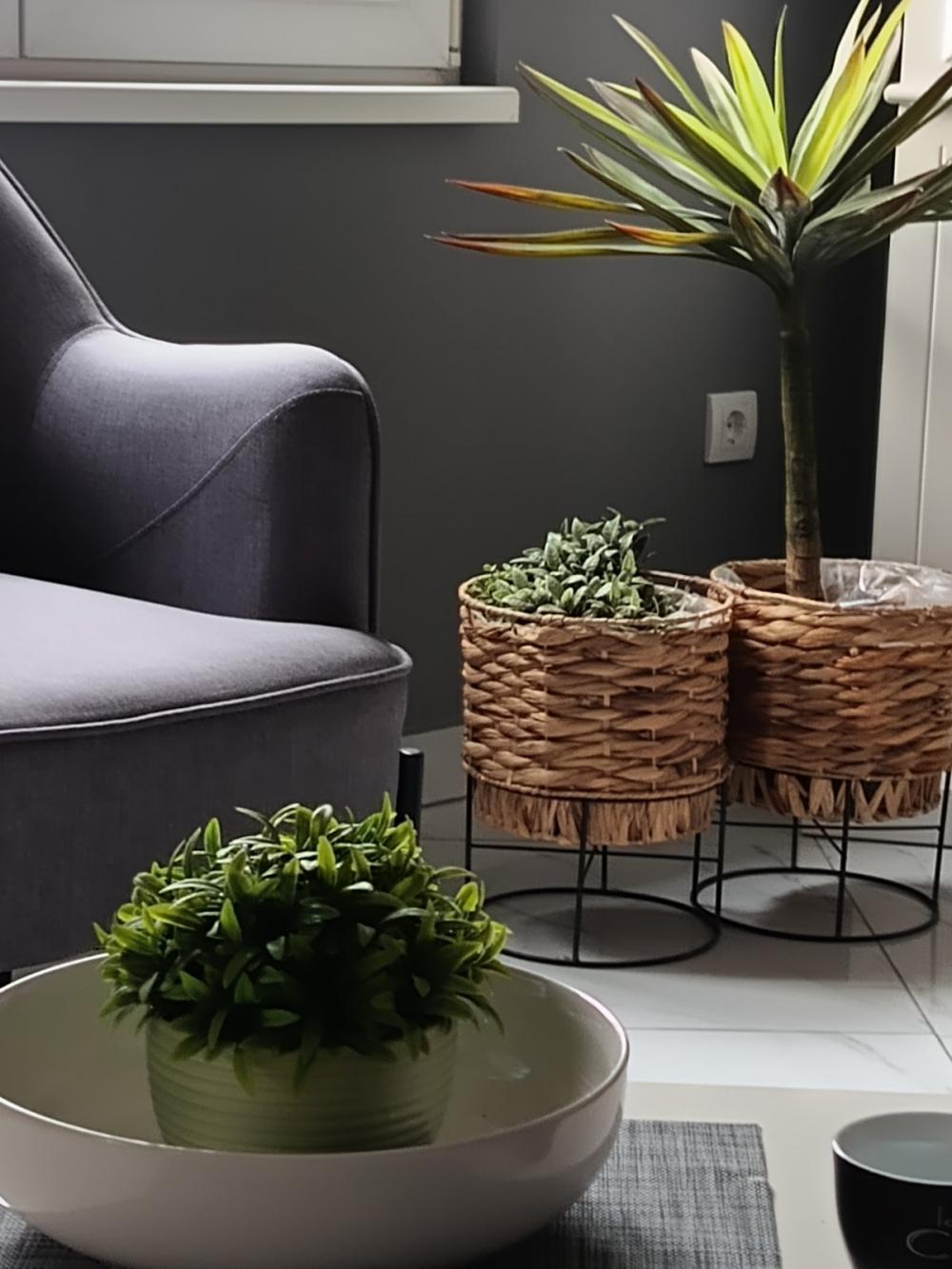 Slika 5 - Vojvode Vlahovića, Dvosoban stan za izdavanje, 55m2, 550€