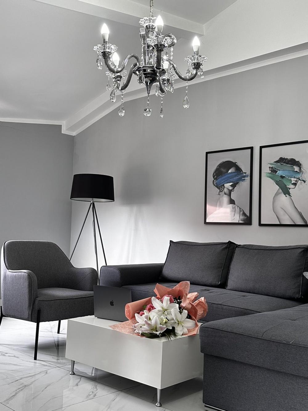 Glavna slika -Vojvode Vlahovića, Dvosoban stan za izdavanje, 55m2, 550€