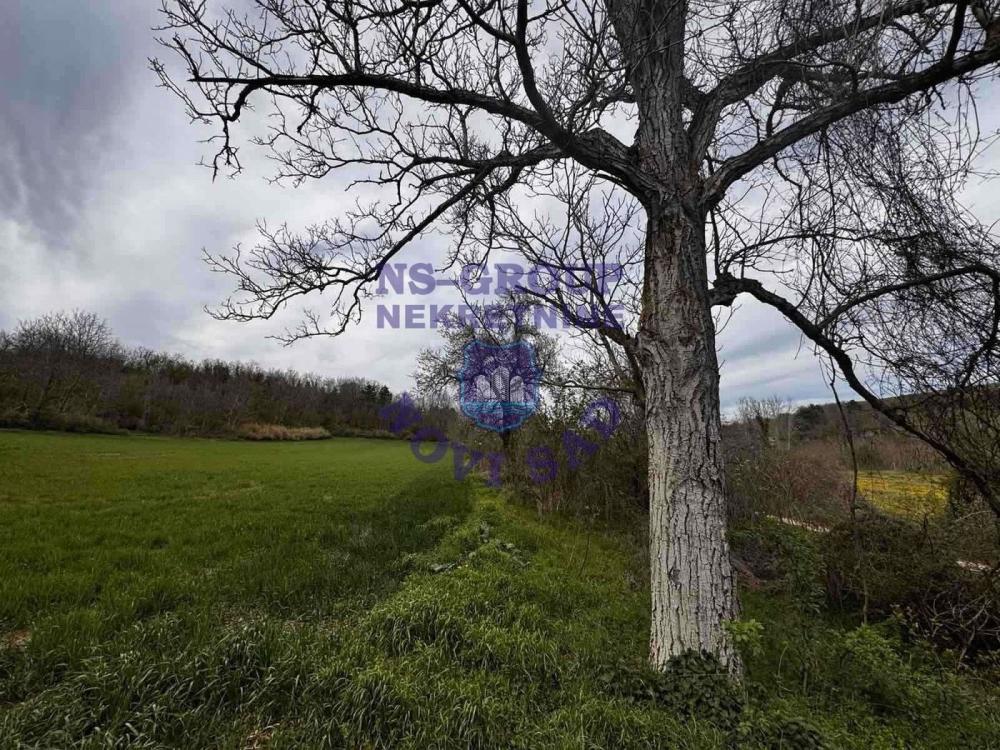 Slika 2 -  Plac na prodaju, Krušedol - Prnjavor, 106.090€