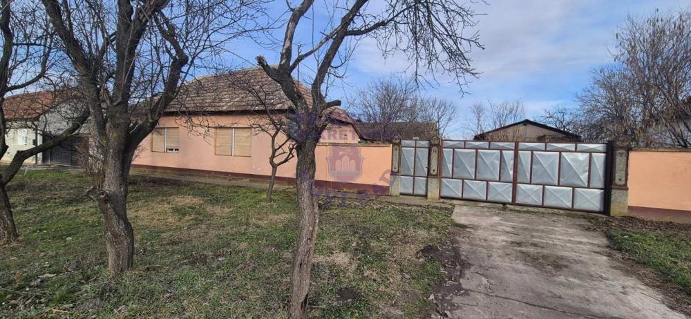 Glavna slika oglasa 387877