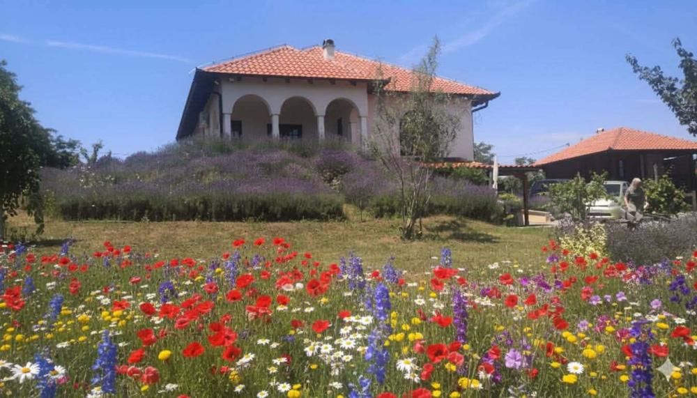 Slika 1 - Cede Milosavljevica,  Kuća na prodaju, 345m2, 550.000€