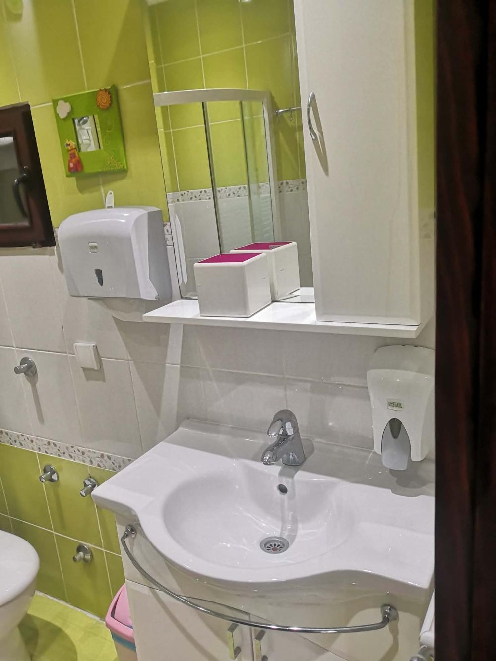 Slika 8 - Cede Milosavljevica,  Kuća na prodaju, 345m2, 550.000€