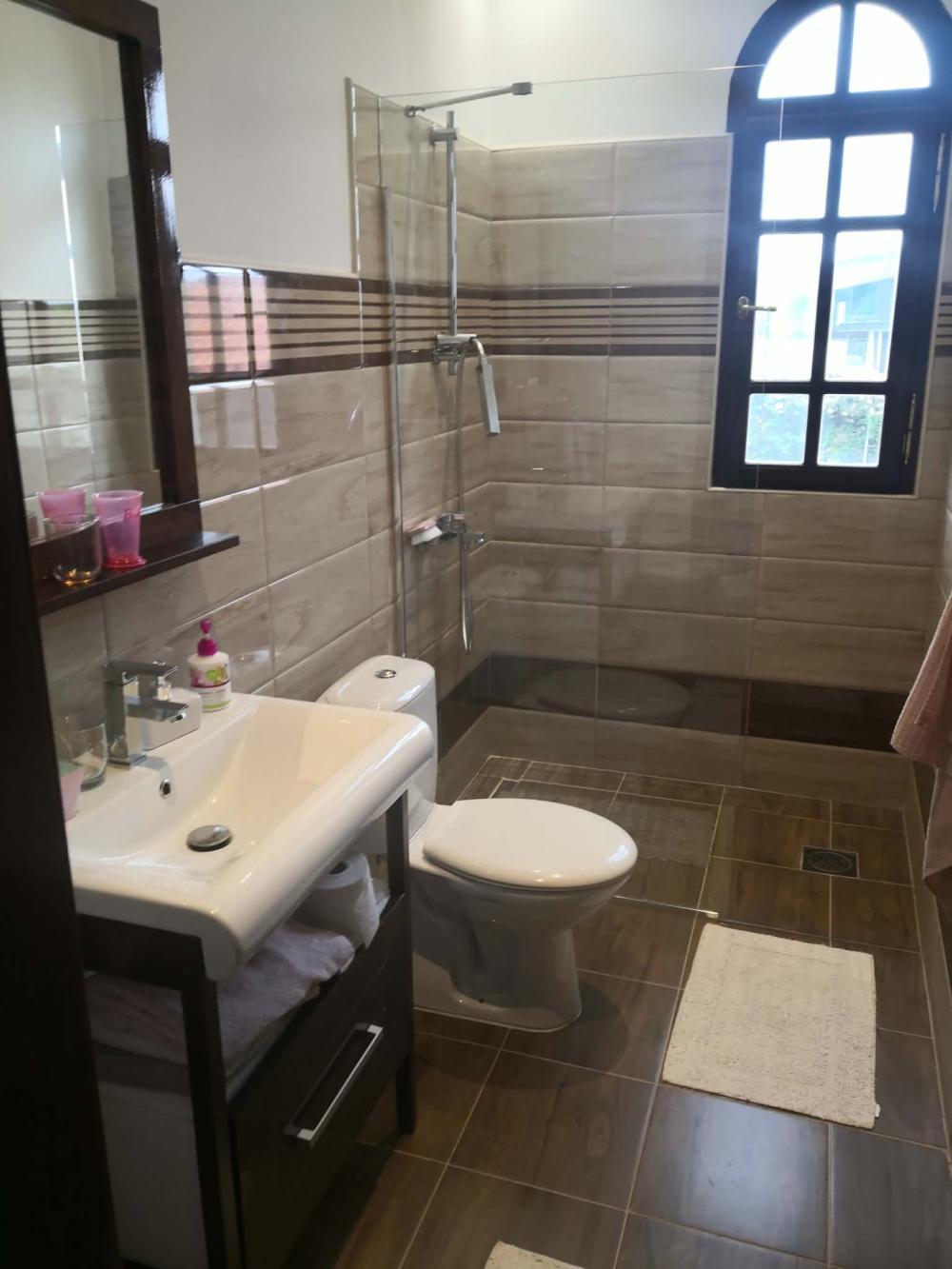 Slika 10 - Cede Milosavljevica,  Kuća na prodaju, 345m2, 550.000€