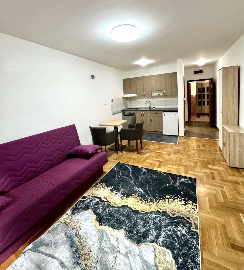 Slika 1 -  Stan za izdavanje, 300€