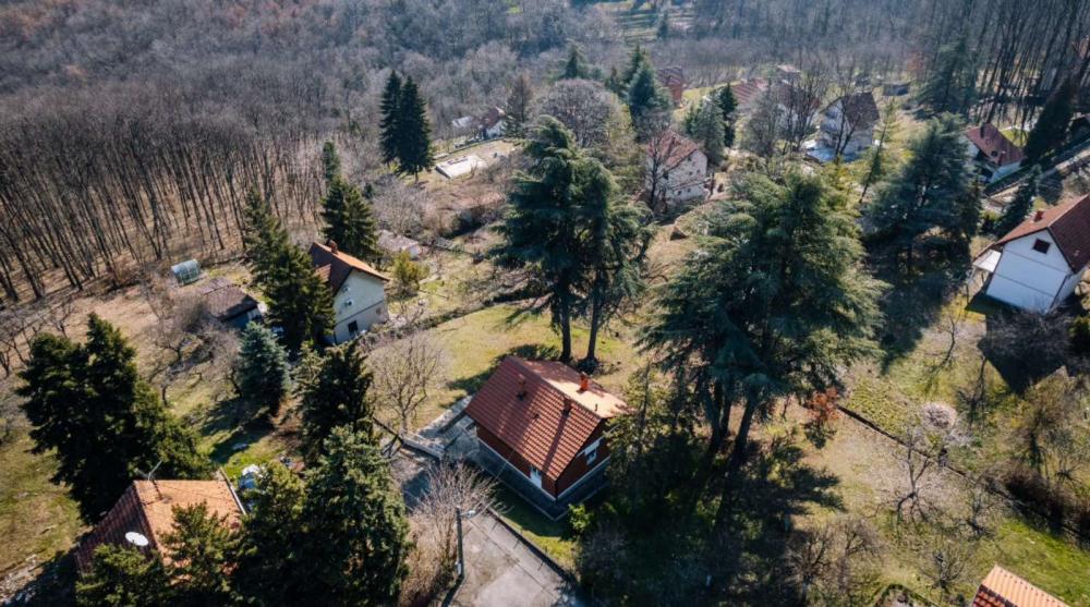 Glavna slika oglasa 389962