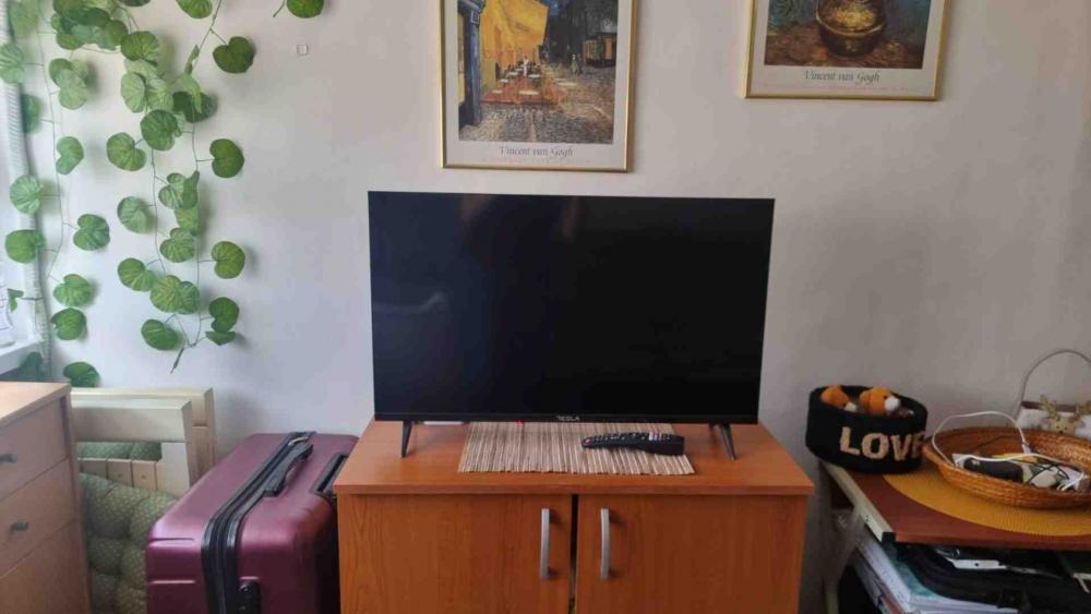 Slika 2 - Triše Kaclerovića, Jednosoban stan za izdavanje, 20m2, 350€